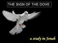 THE SIGN OF THE DOVE PowerPoint PPT Presentation