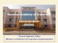 National Academy of Statistical  Administration (NASA) PowerPoint PPT Presentation