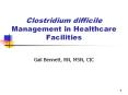 Clostridium difficile Management in Healthcare Facilities PowerPoint PPT Presentation