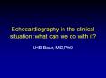 Echocardiography in the clinical situation: what can we do with it? PowerPoint PPT Presentation