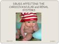 DRUGS AFFECTING THE CARDIOVASCULAR and RENAL SYSTEMS PowerPoint PPT Presentation