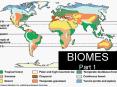 BIOMES Part 1 PowerPoint PPT Presentation