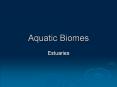 Aquatic Biomes PowerPoint PPT Presentation