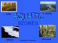 BIOMES PowerPoint PPT Presentation