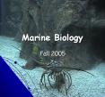 Marine Biology PowerPoint PPT Presentation