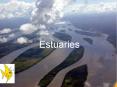 Estuaries PowerPoint PPT Presentation