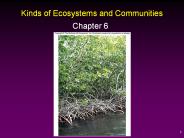 Kinds of Ecosystems and Communities