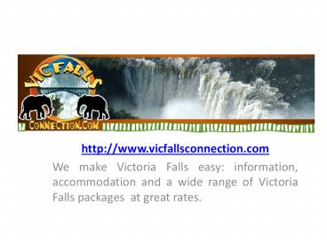 Victoria Falls