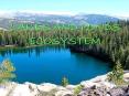 LAKES AND PONDS ECOSYSTEM PowerPoint PPT Presentation