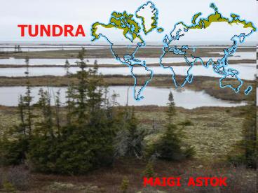 TUNDRA