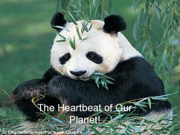The Heartbeat of Our Planet!