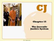The Juvenile Justice System