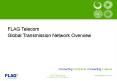 FLAG Telecom PowerPoint PPT Presentation