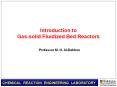 Introduction to Gas-solid Fluidized Bed Reactors PowerPoint PPT Presentation