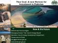 Thar Coal- A new Horizon for Investment in Pakistan PowerPoint PPT Presentation