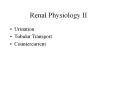 Renal Physiology II PowerPoint PPT Presentation