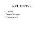 Renal Physiology II