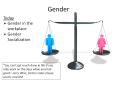 Gender PowerPoint PPT Presentation