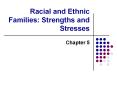 Racial and Ethnic Families: Strengths and Stresses PowerPoint PPT Presentation