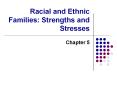 Racial and Ethnic Families: Strengths and Stresses PowerPoint PPT Presentation