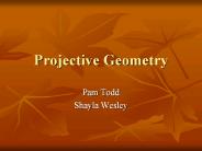 Projective Geometry