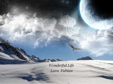 Wonderful Life