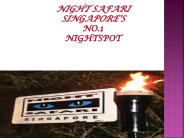 Contributing In Singapore Tourism-nightsafari.com.sg