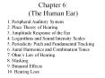 Chapter 6: (The Human Ear) PowerPoint PPT Presentation