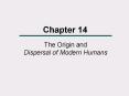 The Origin and Dispersal of Modern Humans PowerPoint PPT Presentation