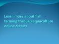 Learn more about fish farming through aquaculture online classes PowerPoint PPT Presentation