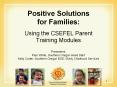 Positive Solutions for Families PowerPoint PPT Presentation