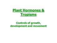 Plant Hormones