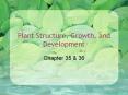Plant Structure, Growth, and Development PowerPoint PPT Presentation
