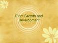 Plant Growth and Development PowerPoint PPT Presentation