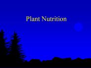 Plant Nutrition