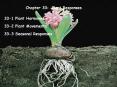 Chapter 33: Plant Responses PowerPoint PPT Presentation