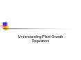 Understanding Plant Growth Regulators PowerPoint PPT Presentation