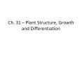 Ch. 31  PowerPoint PPT Presentation