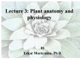 Lecture 3: Plant anatomy and physiology PowerPoint PPT Presentation