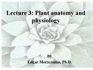 Lecture 3: Plant anatomy and physiology