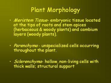 Plant Morphology