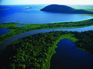 Phosphorus & Water Cycle