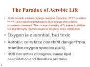 Environmental factors that induce oxidative stress