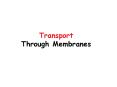 Transport Through Membranes PowerPoint PPT Presentation