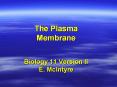 Biology 11 Version II E. McIntyre Osmosis and Tonicity PowerPoint PPT Presentation