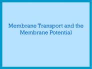 Membrane Transport and the Membrane Potential