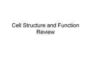 Cell Structure and Function Review