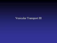 Vesicular Transport III