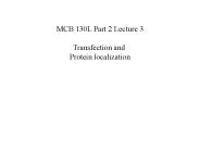 MCB 130L Part 2 Lecture 3