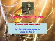 Geometrical Figures